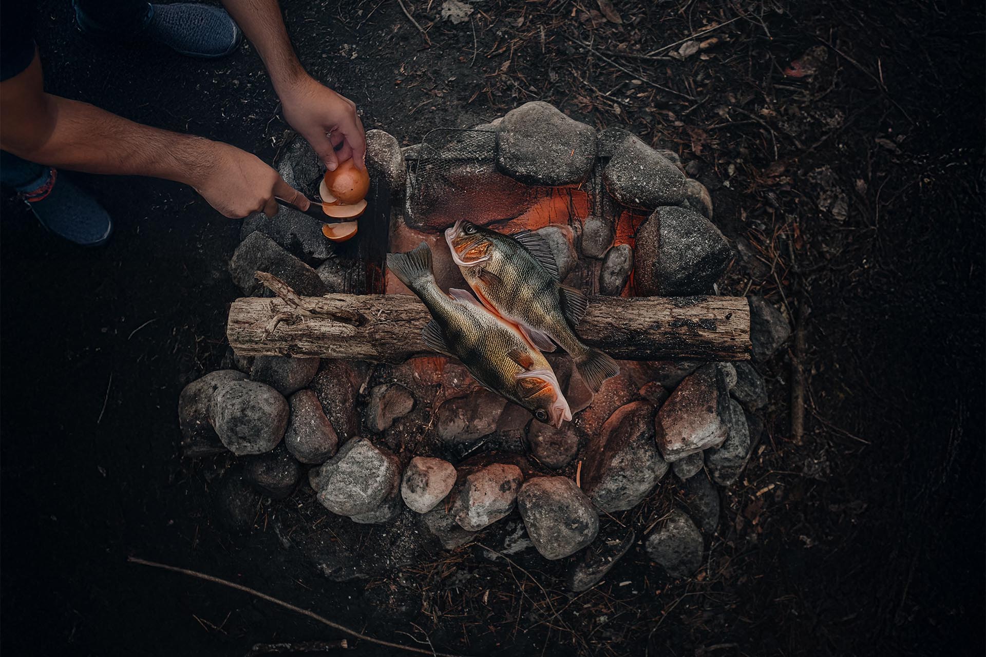 How to Prepare and Cook a Fish in the Wild